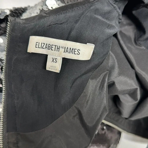 Elizabeth and James Danya Dress Metallic Sequin Fish Scale Mini Black Size XS - Picture 11 of 13